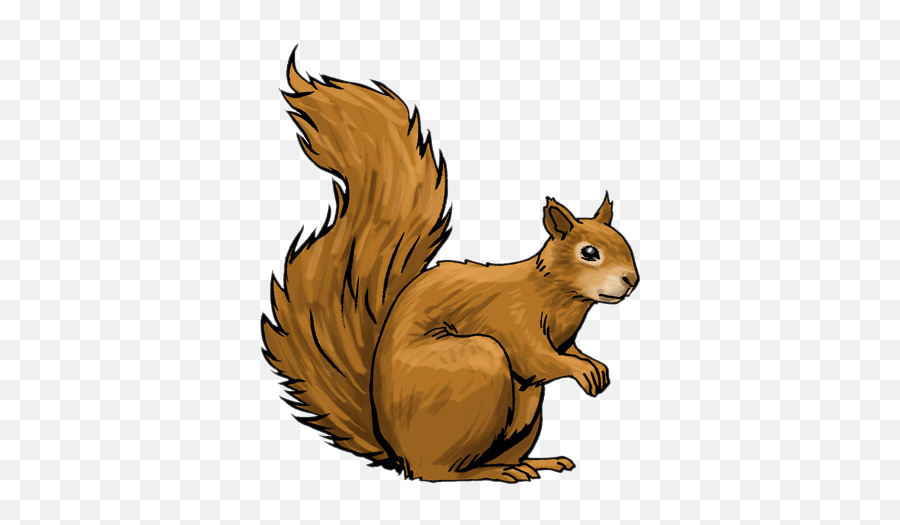 Library Of Xerus Image Royalty Free Png Files - Clipart Image Of Squirrel,Squirrel Transparent Background
