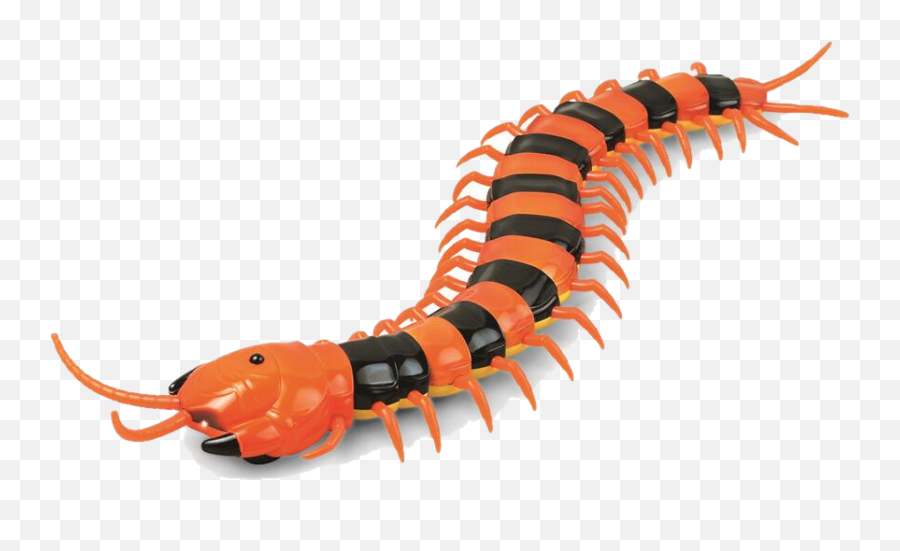 Download Electric Rc Centipede Fake Remote Control Animal - Mainan Kaki Seribu Png,Centipede Png