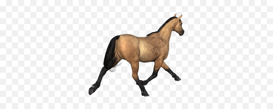 Search Results For Horses Png - Horse Rear View,Horses Png