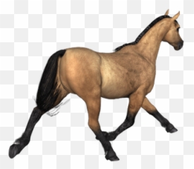 Search Results For Horses Png - Rear View