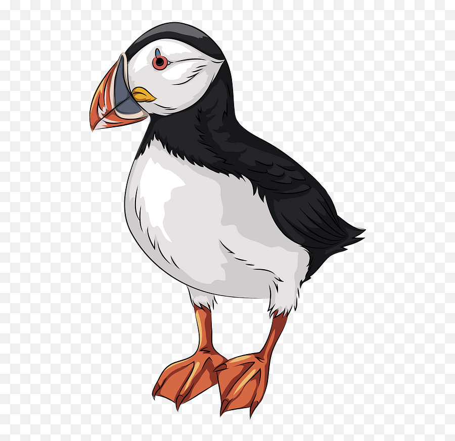 Atlantic Puffin Clipart - Puffin Clipart Png,Puffin Png