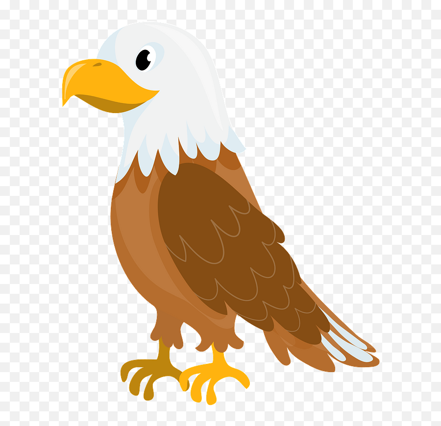 Bald Eagle Clipart Free Download Transparent Png Creazilla - Bald Eagle,Eagle Transparent