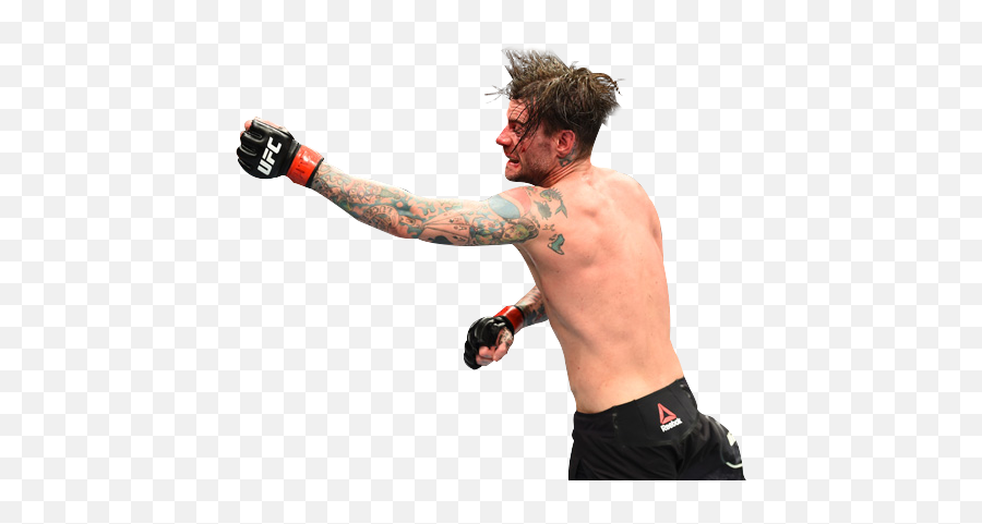 Shoop - Shoop Dat Messy Cm Punk Sherdog Forums Ufc Mma Boardshorts Png,Cm Punk Png