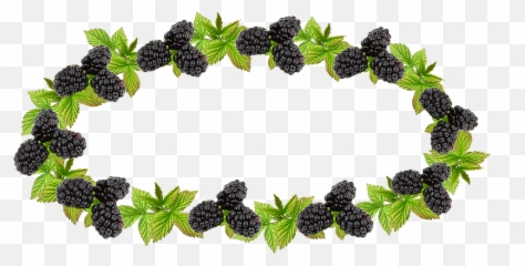 Label Blackberry Preserves - Blackberry Border Png,Blackberries Png