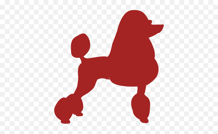 Poodle Dog Icon Sigma Gamma Rho Rhovember Pngdog Icon Png Free
