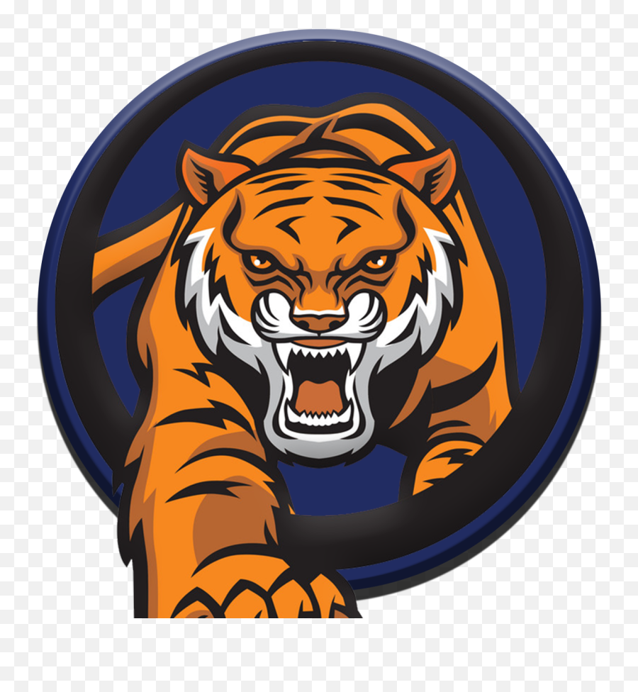 Tiger head logo, png | PNGWing