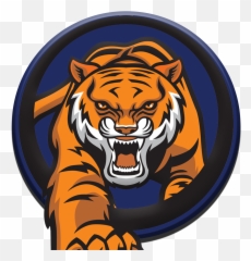 Hubli Tigers Team Logo Png Bengal Tiger Icon
