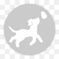 What Is A Kong Dog Toy - Pet Mental Stimulation Through Chewing Icon png