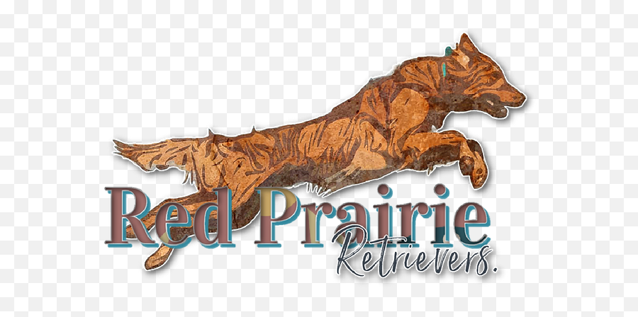 Red Prairie Retrievers Gillettewy Akc Health Tested - Language Png,Hugging Icon For Facebook