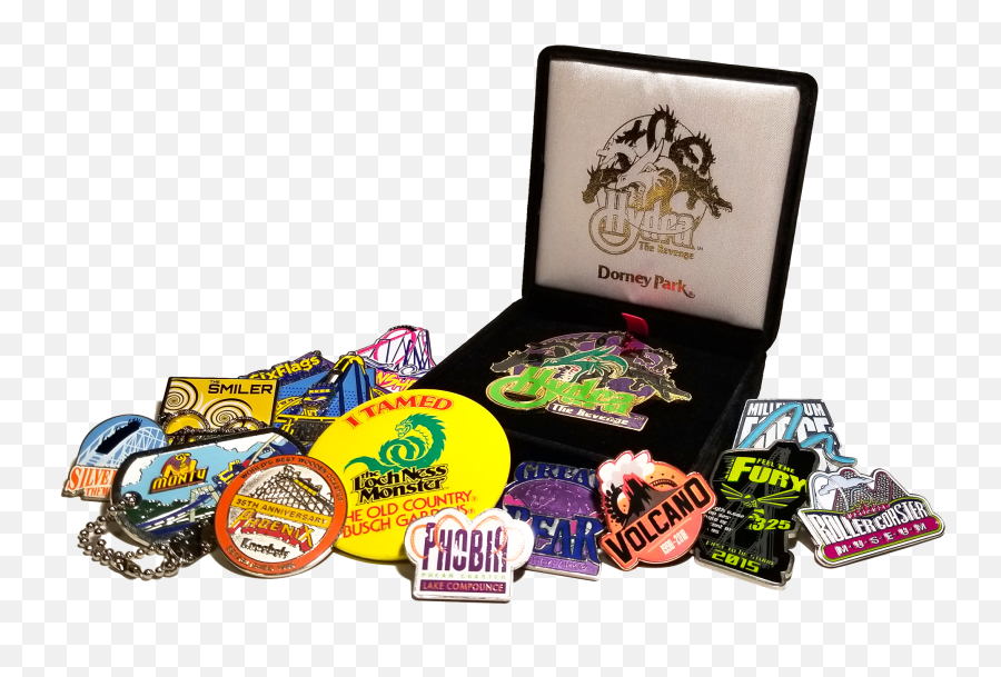 Roller Coaster Pin Collection We Were Inverted - Confectionery Png,Disney Pin Trading Icon Pins
