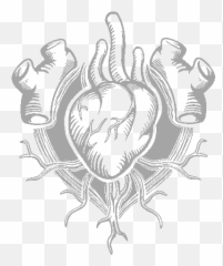 Corrupt Heart Slay The Spire Wiki Fandom - The png