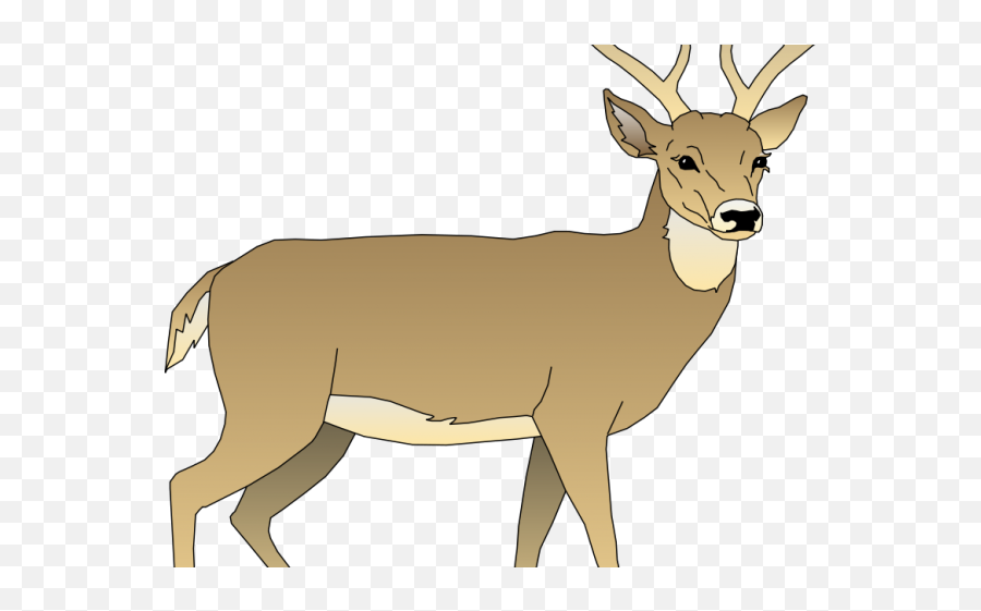 Realistic Cliparts Free Download Clip Art - Webcomicmsnet Deer Clipart Transparent Background Png,Reindeer Clipart Png