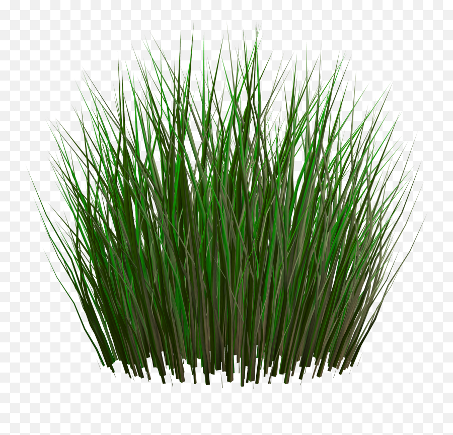 Grass Png Images Pictures - Grass Texture 2d Png,Wild Grass Png