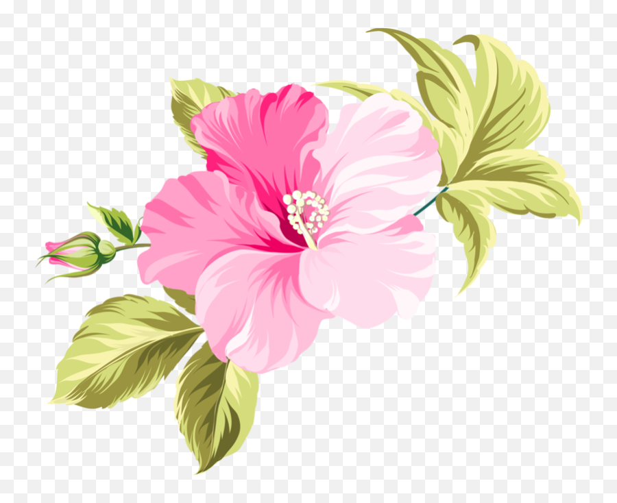 Flower Hawaii Clip Art - Pink Flower Vector Png,Hawaiian Flowers Png