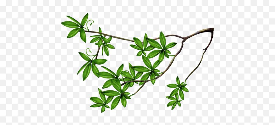 Dal Png Transparent Dalpng Images Pluspng - Png,Twigs Png
