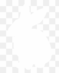 Small Pet Sitting - Prairie Path Care Domestic Rabbit png