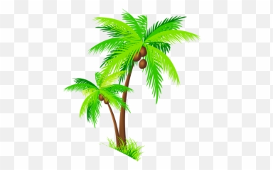 Clipart Tree Buko Transparent - Transparent Background Coconut Tree Clipart Png,Coconut Png