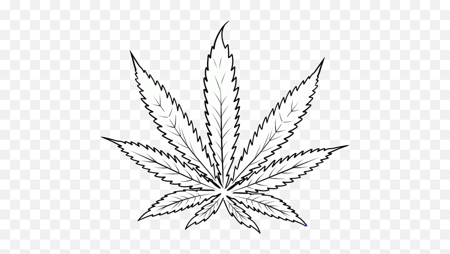 Drawing Art Drugs Weed Smoke Pot Illegal Oh Well Transparent - Weed Plant Drawing Png,Weed Smoke Png