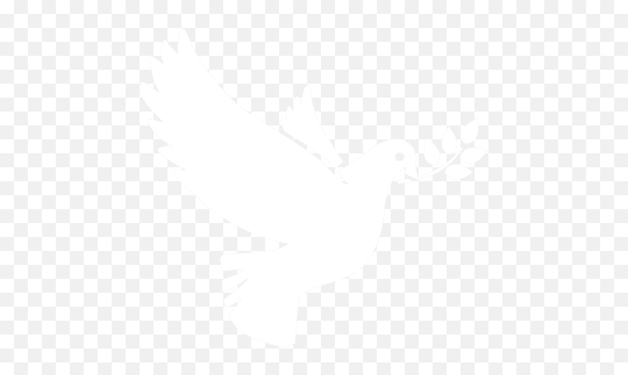 White Dove Png Icon - White Dove Icon Png,Dove Png