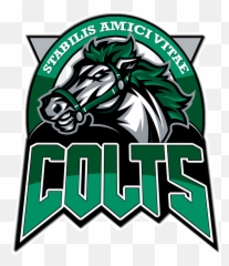 Colts Results - Play Cricket Graphic Design Png,Colts Logo Png