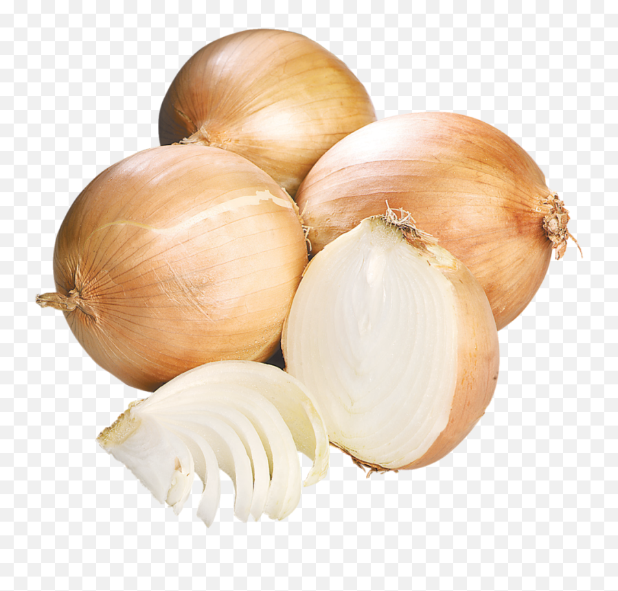 Marianos - Onions Transparent Png,Onion Transparent Marianos - Onions Transparent Png,Onion Transparent