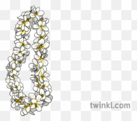Hawaiian Lei Flower Garland Illustration - Twinkl Illustration Png,Flower Garland Png