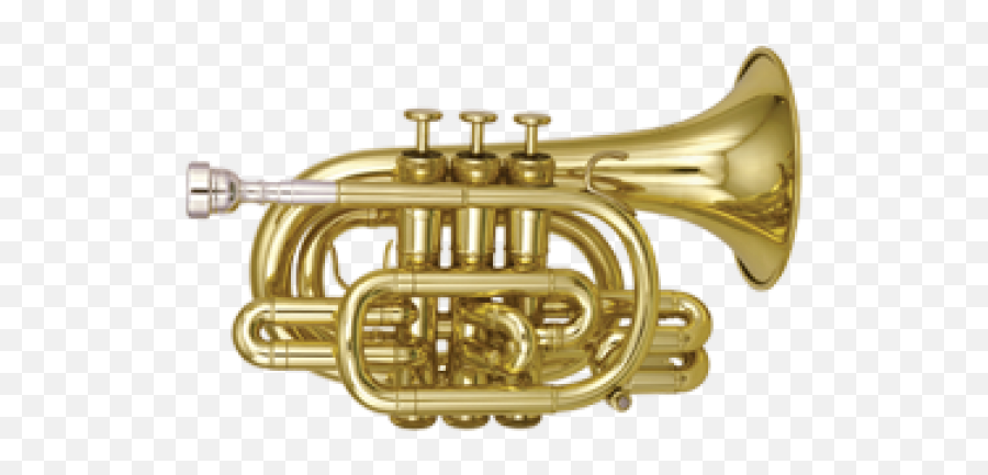 Trumpet Png Free Download 26 Images - Pocket Trumpet Png,Trumpet Png
