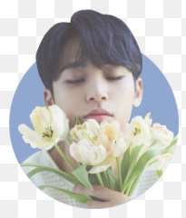 Download Soft For Kim Mingyu Rose Quartz And Serenity - Kim Mingyu Seventeen Png,Seventeen Png