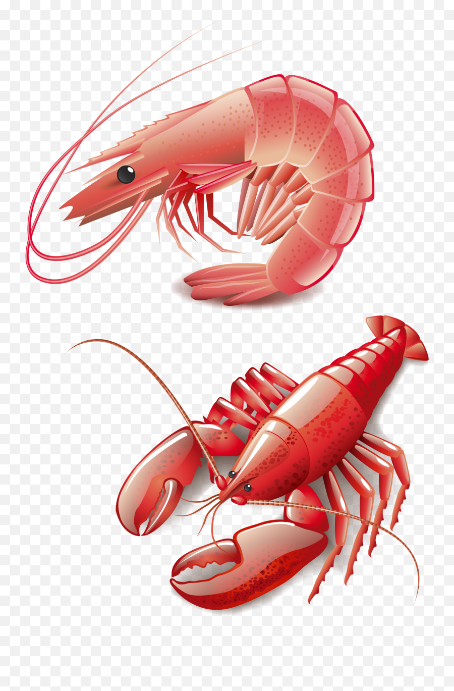 Seafood Homarus Cooking Red Lobster Clip Art - Vector Lobster Animasi Png,Lobster Png