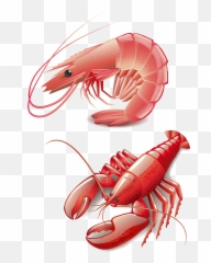 Seafood Homarus Cooking Red Lobster Clip Art - Vector Lobster Animasi Png,Lobster Png