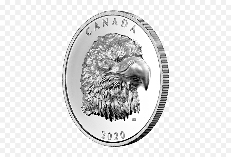 Pure Silver Ehr Coin - Proud Bald Eagle U2013 Mintage 4000 Bald Eagle Png,Eagle Transparent