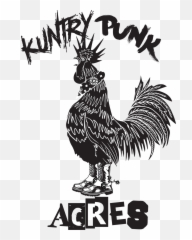 Cropped - Kuntrypunkacressmall1png U2013 Kuntry Punk Acres Rooster,Punk Png
