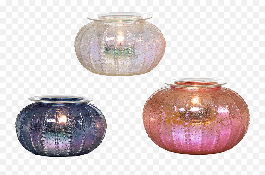 Glass Sea Urchin Tealight Holder Trio - Partylite Sea Urchins Png,Sea Urchin Png