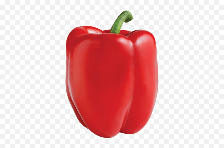 Download Hd Red Bell Pepper - Red Bell Peppers Png,Red Pepper Png