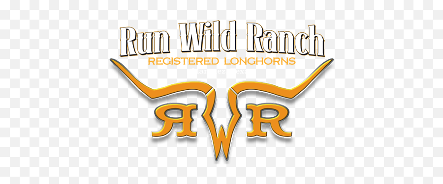 Registered Texas Longhorns - Run Wild Ranch Texas Ranch Logo Png,Longhorn Logo Png