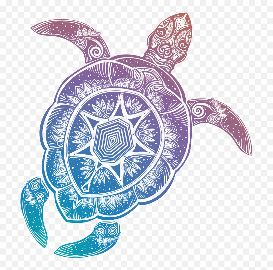 Download - Loggerhead Sea Turtle Cartoon Png,Transparent Backgrounds