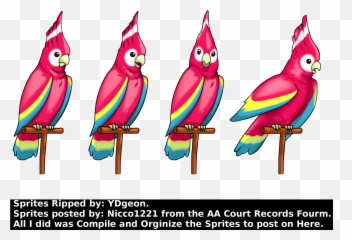 Pc Computer - Phoenix Wright Ace Attorney Trilogy Polly png