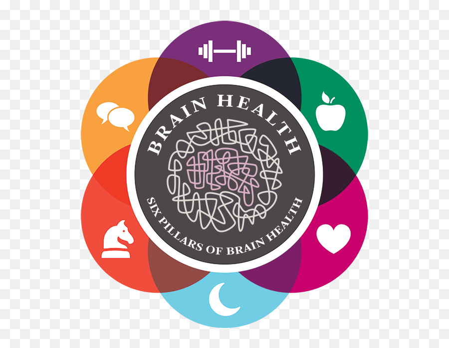 Healthy Brains - Brain Health Png,Medical Brain Icon