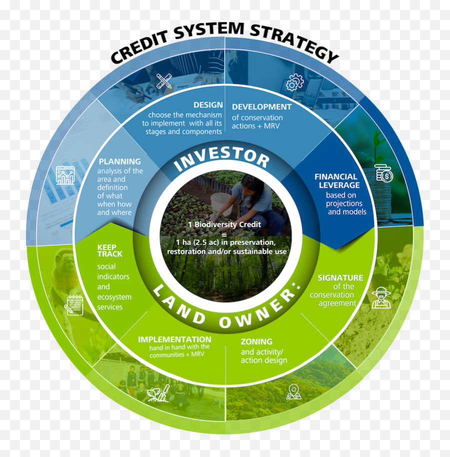 Investments In Biodiversity - Vertical Png,Business Ecosystem Icon
