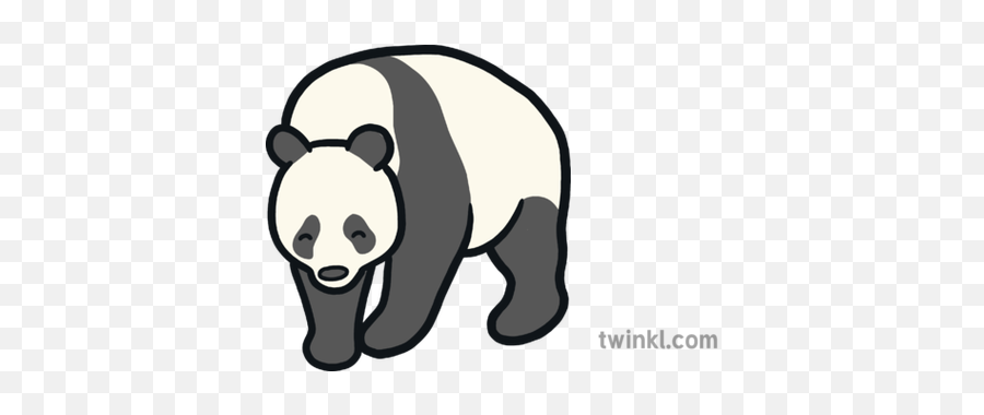 Panda Map Icon Chinese Animal Mammal Endangered Eyfs - Animal Figure Png,Cute Panda Icon
