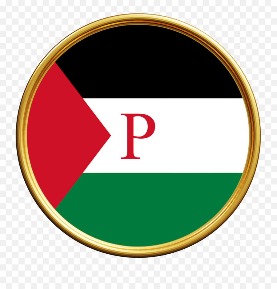 Funds For Palestinians Organizations Palestine Token Home - Dot Png,Palestine Icon