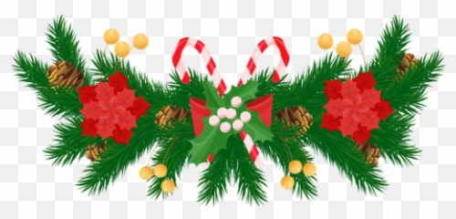Best Premium Spruce Branches And White Mistletoe Red Png Poinsettia Icon