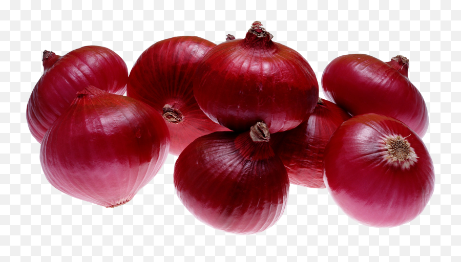 26 Onion Png Images Are Free To Download - Onion Png,Onion Png