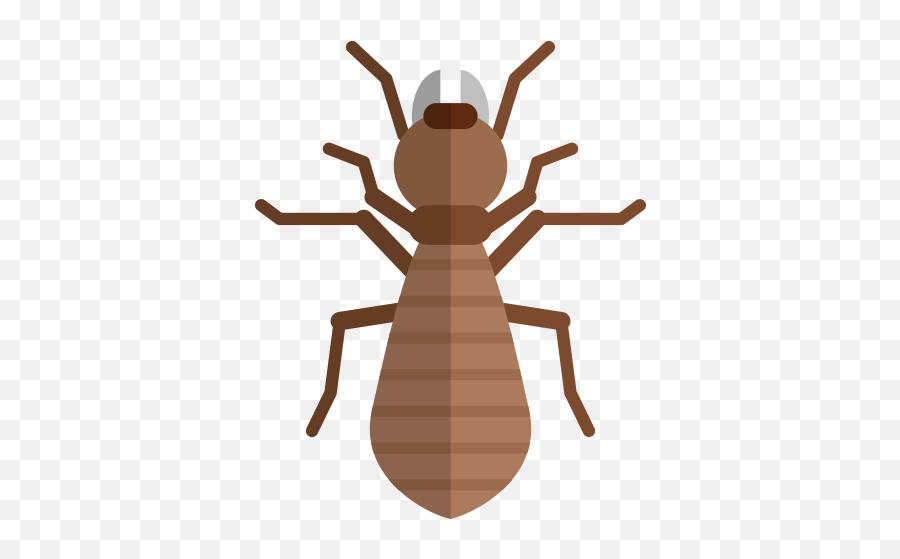 Ant Control Exterminator Pest Santee - Parasitism Png,Antd Icon