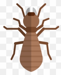 Ant Control Exterminator Pest Santee - Parasitism Png,Antd Icon