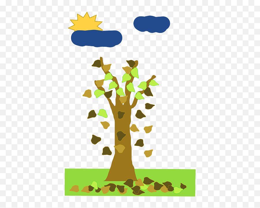 Fall Without Leaf Tree Cartoon Png Trees
