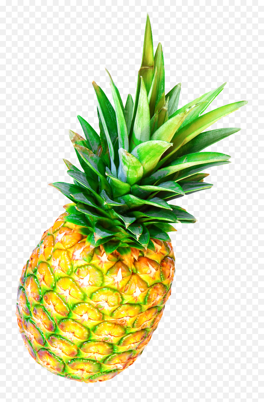 Pineapple Png Image - Pngpix Pineapple Fruit Png,Pinapple Png