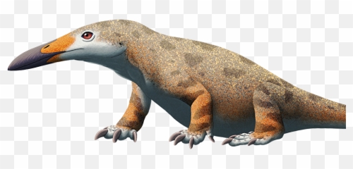 Png - Strange Animals Png,Reptiles Png