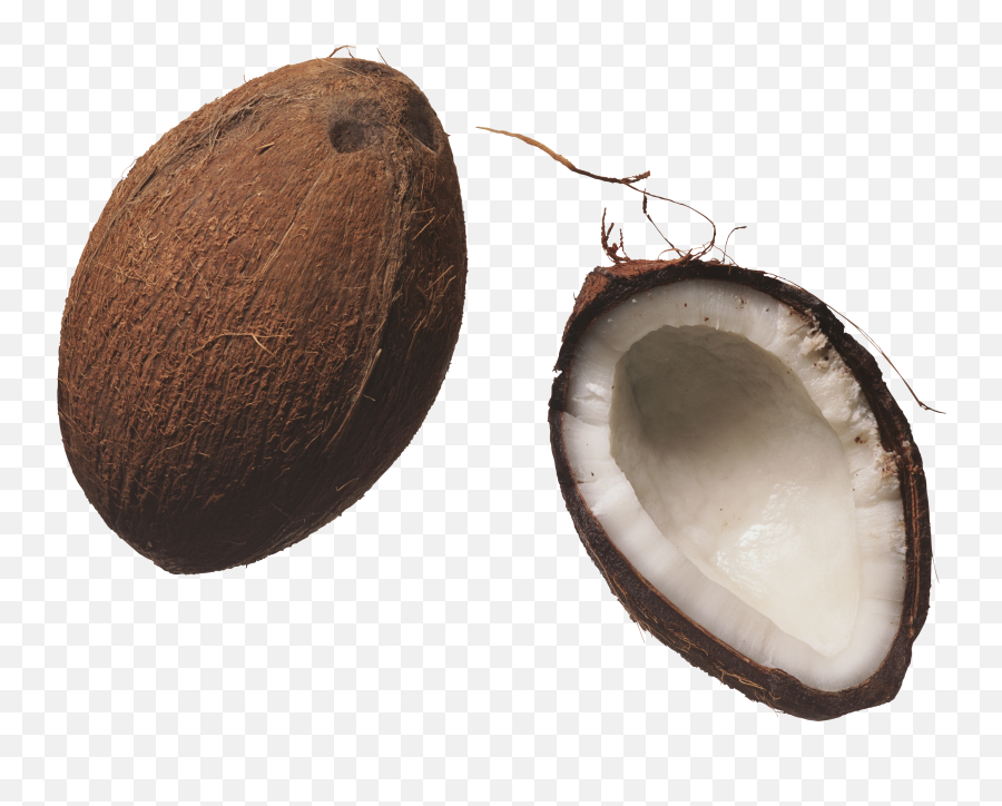 Coconut Png Image - Fruits,Coconut Png