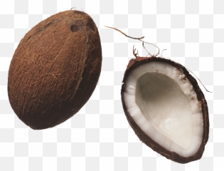 Coconut Png Image - Fruits,Coconut Png